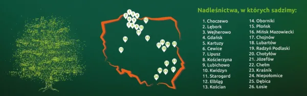 grywalizacja - allegro